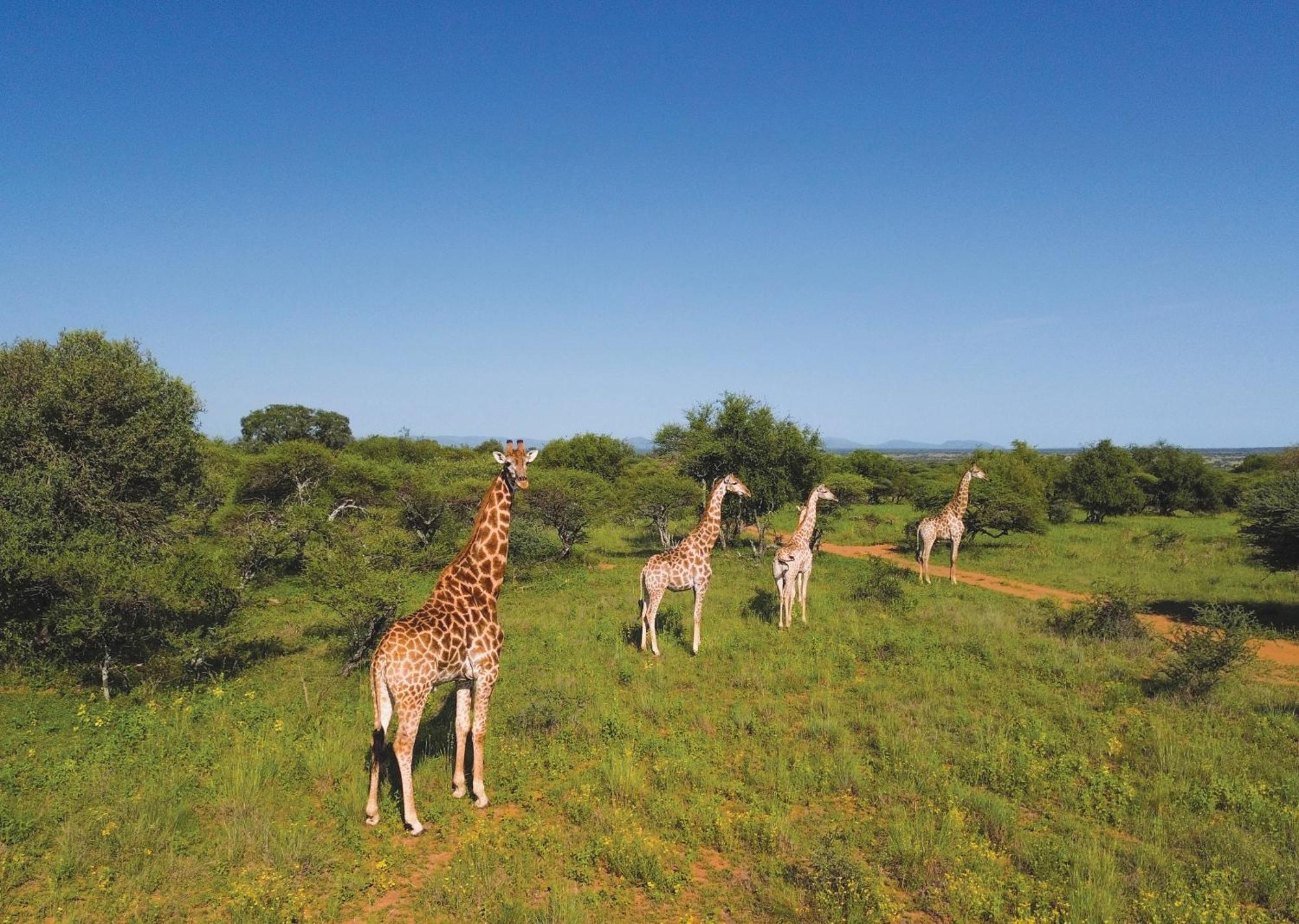 Finfoot Lake Reserve By Dream Resorts Vaaldam エクステリア 写真